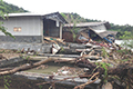 PERIKANAN : Hatchery Dihantam Tsunami, Produksi Udang Terancam