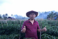 HORTIKULTURA : Nanang Triatmoko Memilih Bertani Ketimbang Jadi Pegawai