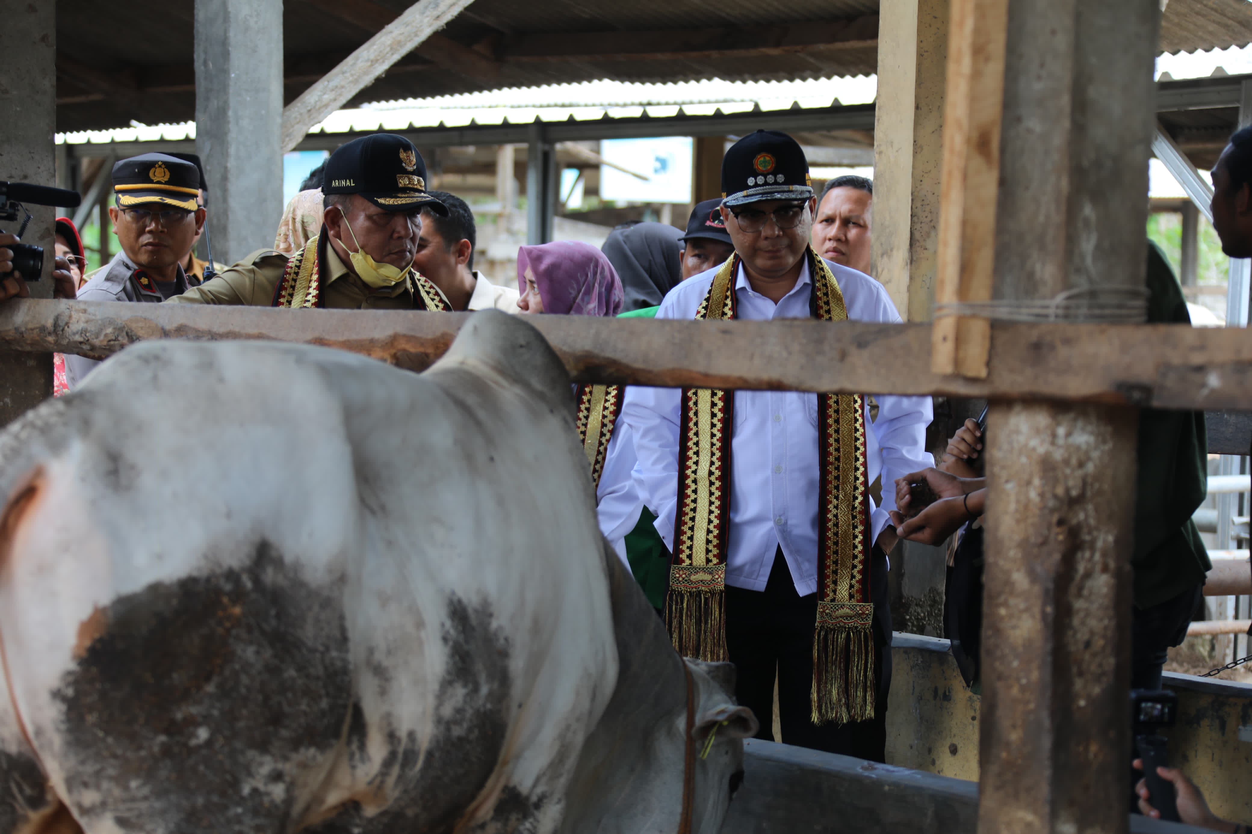 Wamentan Harvick Dorong Lampung Selatan Jadi Percontohan Koperasi dan Produksi Ternak Berkualitas