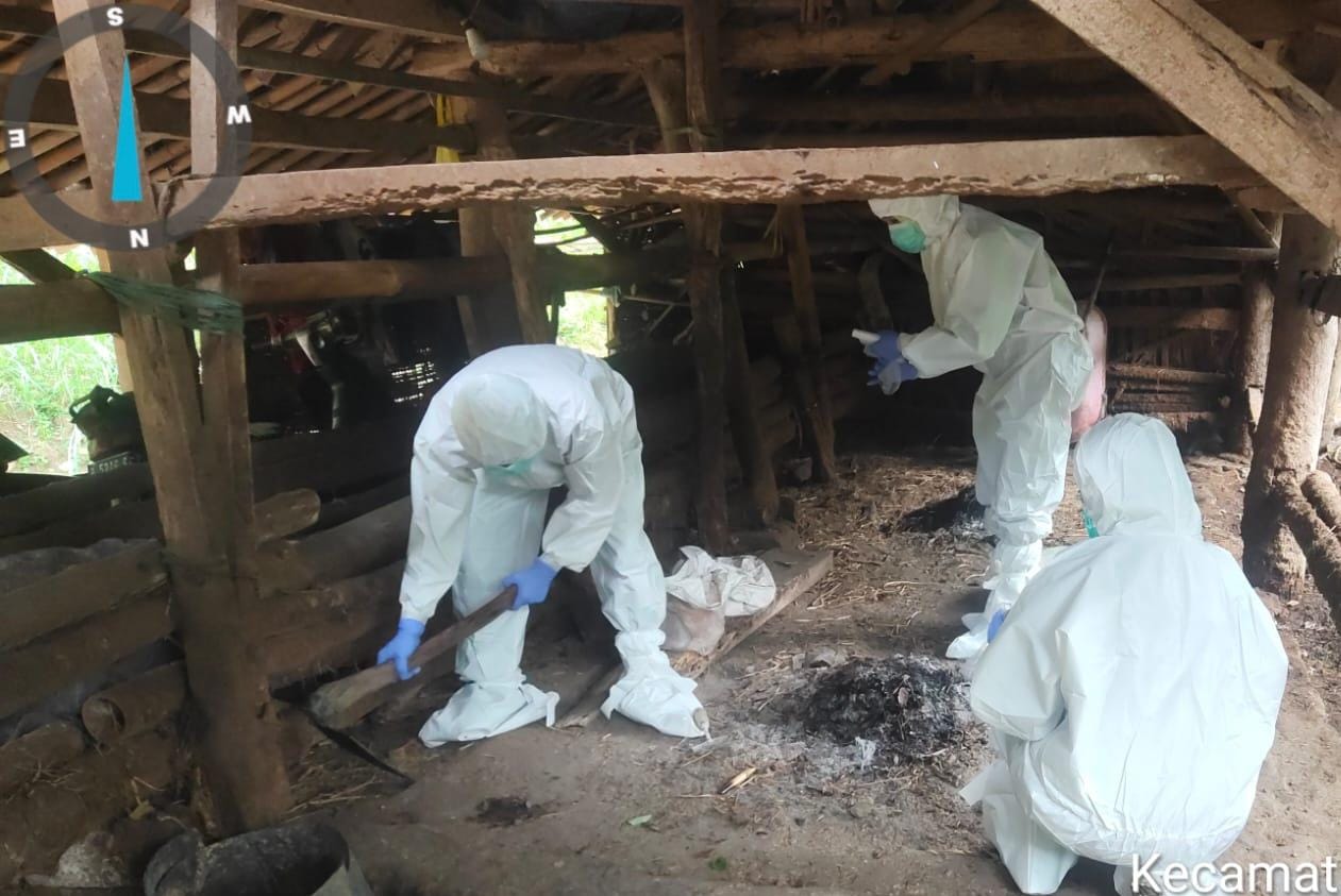 Kementan Respon Cepat Laporan Anthrax di Gunung Kidul dan Sleman
