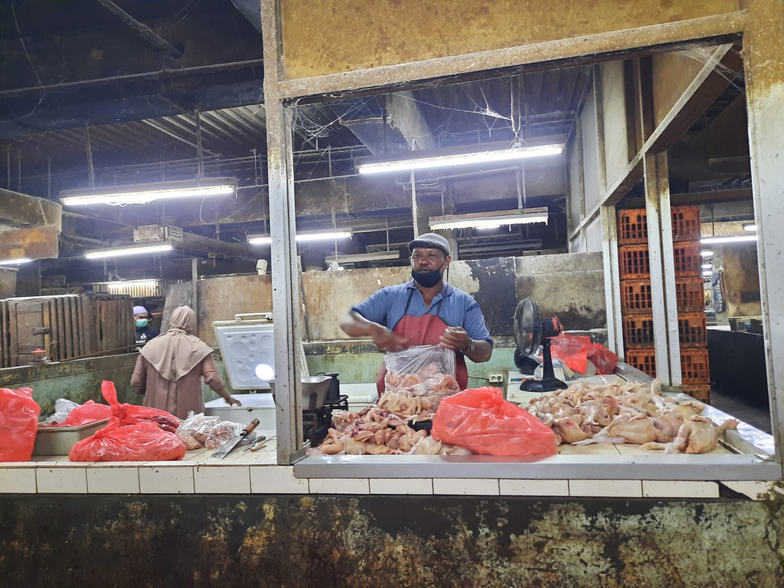 Kementan Terus Pantau Ketersediaan Telur dan Daging Ayam di Pasaran Selama Ramadhan