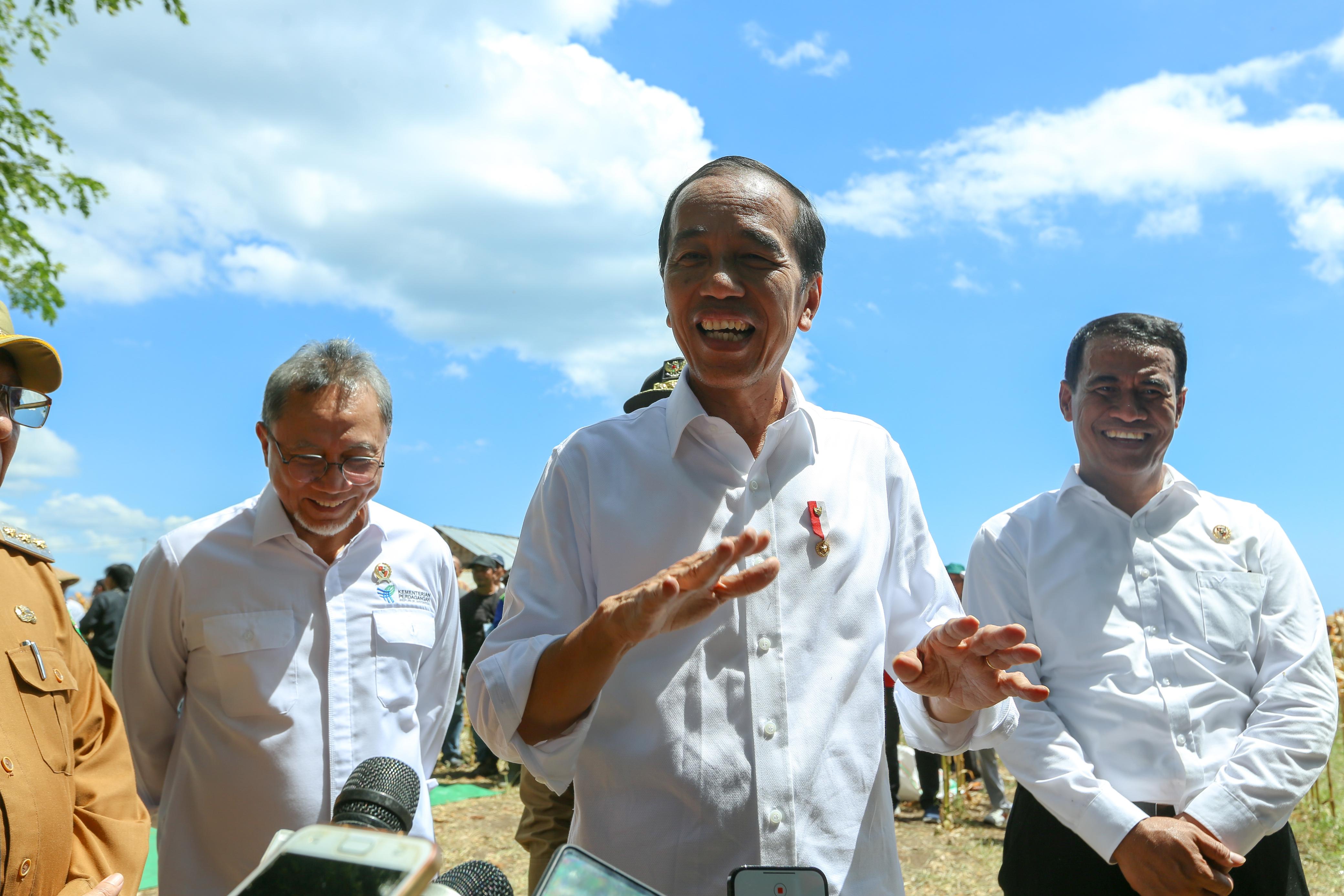 Presiden Panen Jagung bersama Mentan di Sumbawa, Jokowi Tekankan Keseimbangan Harga